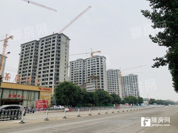 善国璟园10月份最新工程进度播报