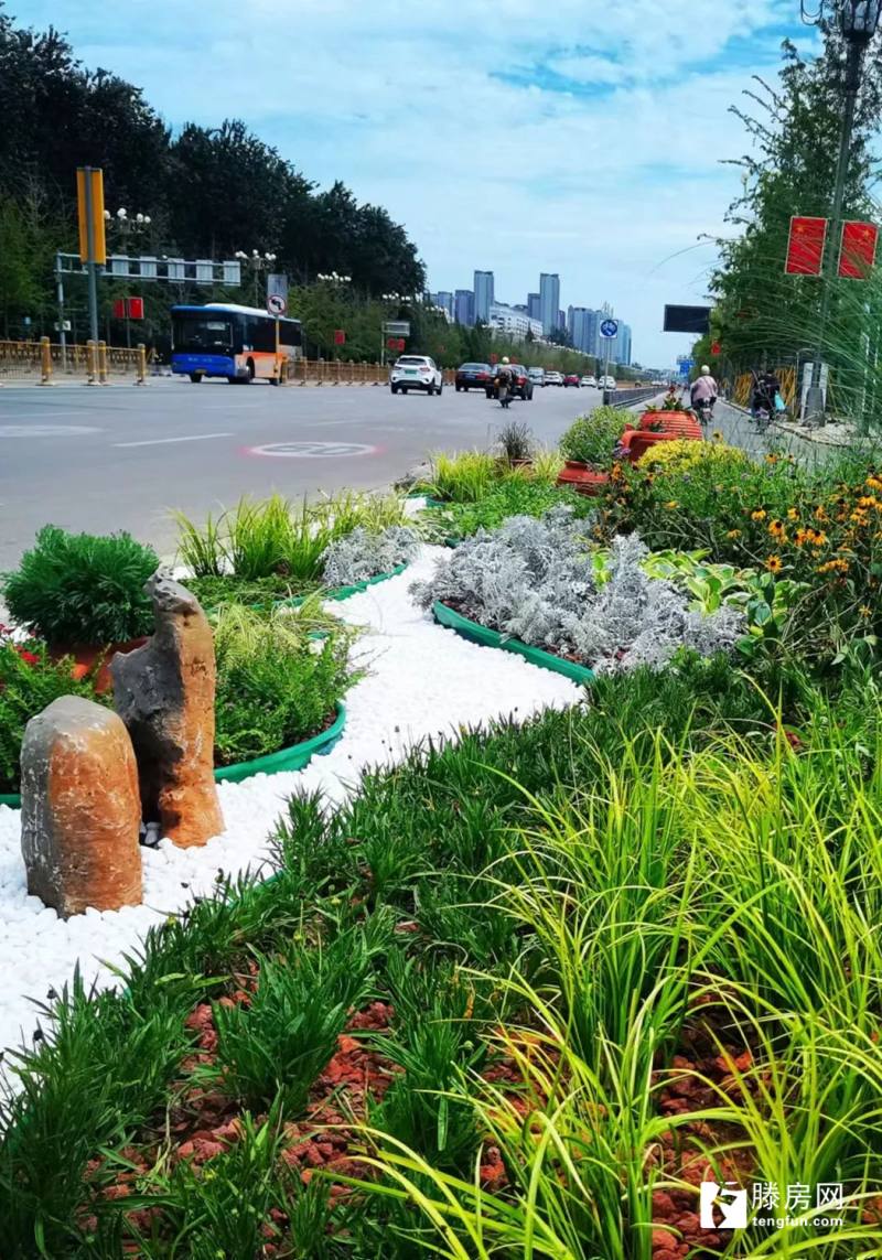 滕州城市细节越来越精致城区新增多处花境作品邀您来赏